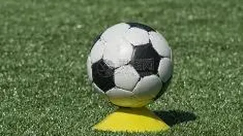 泰山外援卡扎休赛期助力CBA山东队赛场