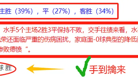 纳斯里外卖订单揭露行踪，或遭500万欧偷税罚
